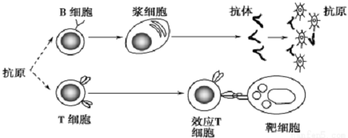 實驗室用超純水機